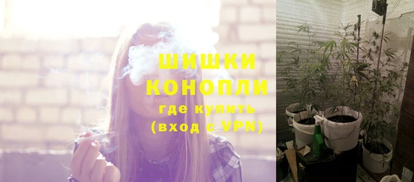 прущий лед Пересвет