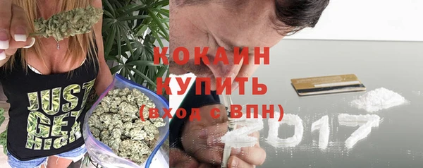прущий лед Пересвет