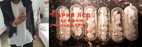 прущий лед Пересвет