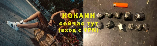 прущий лед Пересвет
