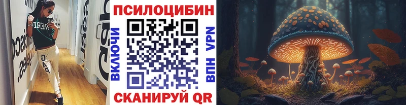 Галлюциногенные грибы мицелий Новотитаровская